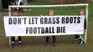 It is said by the Football Association that the Premier League and the government induce £36m a year into youth football